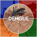 dengue22222.jpg