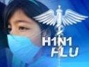 swine-flu-2.jpg