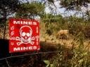 LandMine_Sign